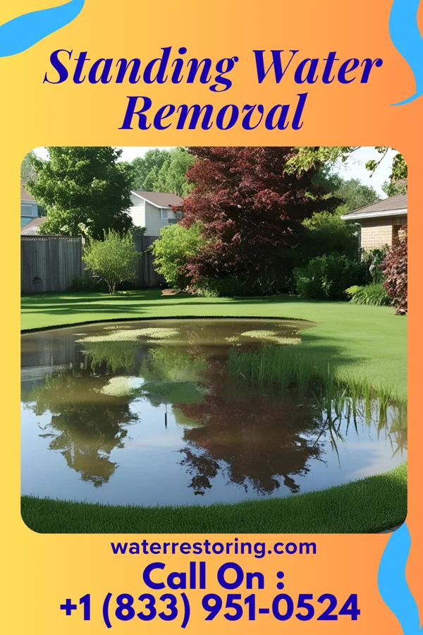 Standing Water Removal in Iola, IL